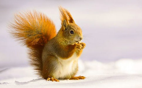 ǳ̸�����󡷽�ѧ���