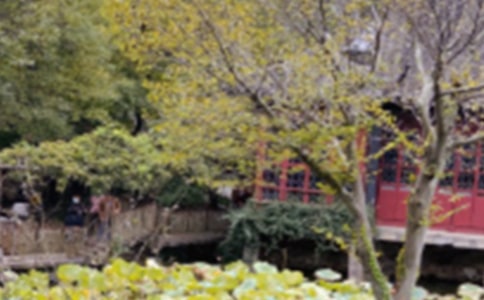 ������԰���ĵ����