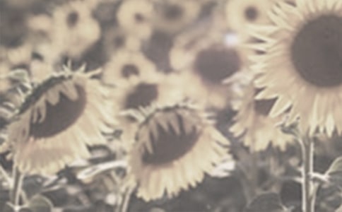 �������̫����Ů���������