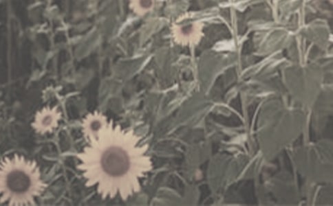 ���������̫����Ů�����и�