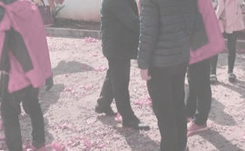 ̽�׼��������ࣨ14ƪ��