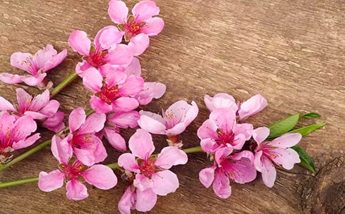 ���һ���ľ�и�