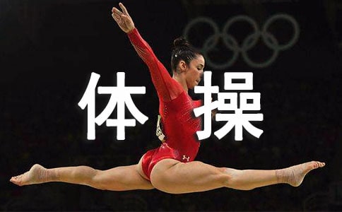 ����ٱ��ݲ߻���