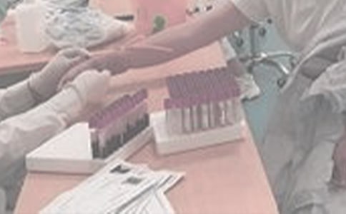 ������Ĺ����ƻ�13ƪ