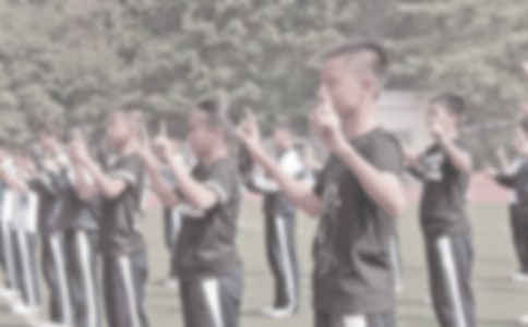 Сѧ������ѧ���˹����ܽ�