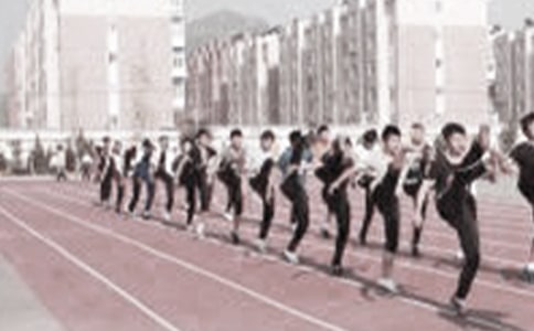 ���꼶������ѧ�����ƻ�