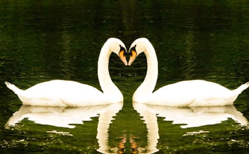 �����ۺ��