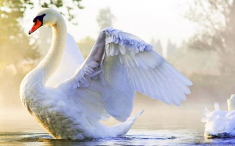 ��������ɺ��������У����ϣ�