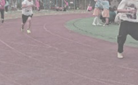 �ﾶ���������ܽ�