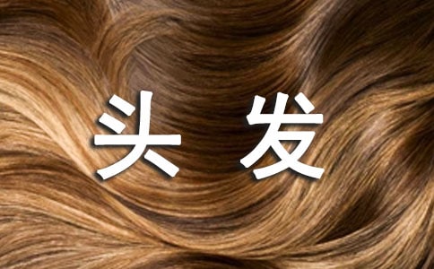 Ⱦͷ��������