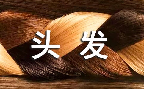 Ⱦͷ��������8ƪ