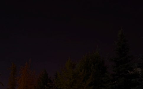 �Ƽ�����Ȧ����ף����80��