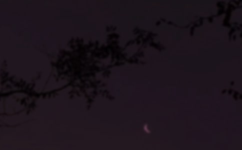 ʵ�õ����õ���������Ȧ�ʺ���49��