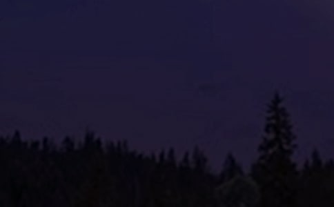 ��̵������ʺ��Ｏ��47��