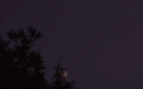 ����Ψ���������ʺ������38��