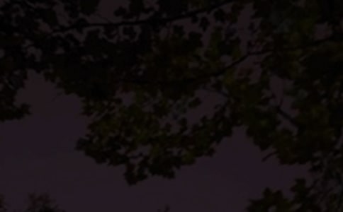 2025���й�Ψ���������ʺ�����Ż��54��