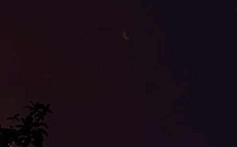 2024�곣�������ʺ������53��