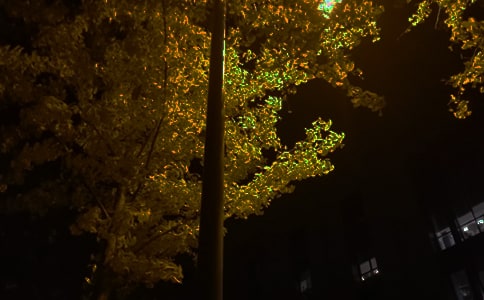 2024��ʵ�õ���ů�������ʺ���49��