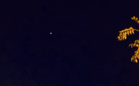 �����š�2024����ů������΢���ʺ���47��