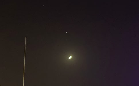 �����š�2024�����õ������ʺ�����¼29��