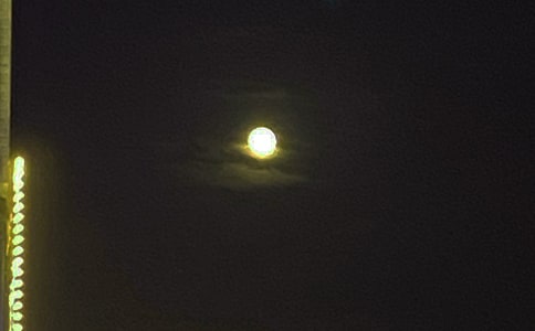 ��̵���ů�������ʺ�����¼����39��