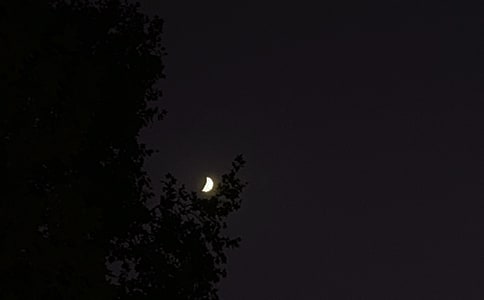 2024��򵥵���ܰ����������Ȧ�ʺ������82��