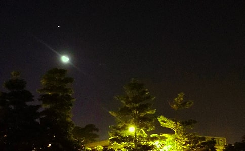 2025��򵥵���ܰ������΢���ʺ���ժ¼83��