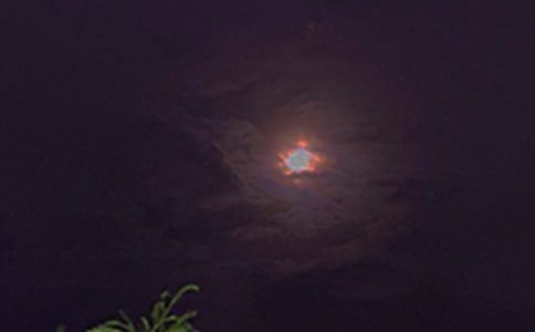 2025���̵���ů�������ʺ�����Ż��42��