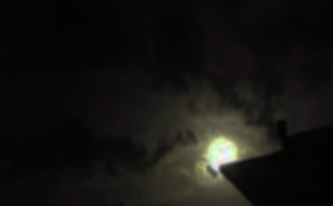 ��ѡΨ���������ʺ������29��