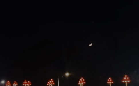 Ψ��������QQ�ʺ�����81��