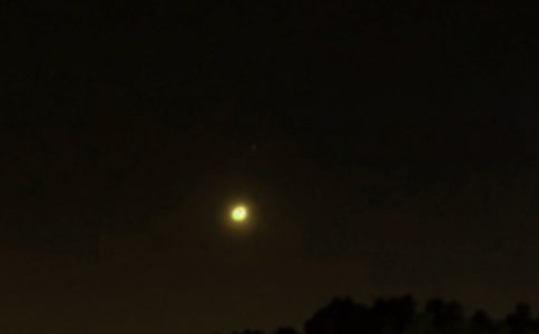 �����š�2025������ϵ����������¼���51��