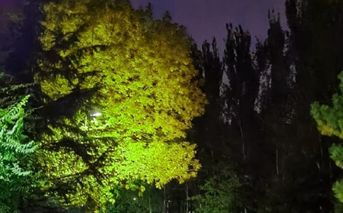 2025���й������ʺ��Ｏ��60��