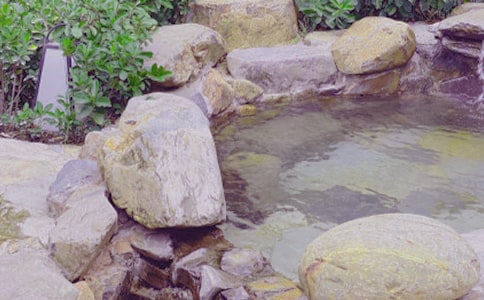 ��Ȫ����Ա�����ܽ�