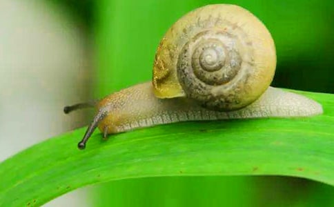 ������ţ������[�ر�]