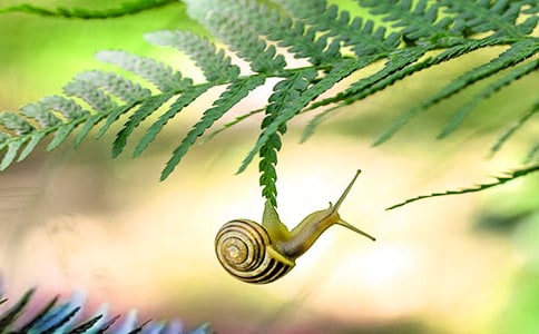 ��������ţ���ۺ��