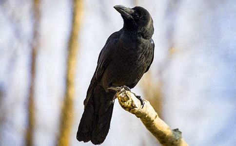 ����ѻ��ˮ�������