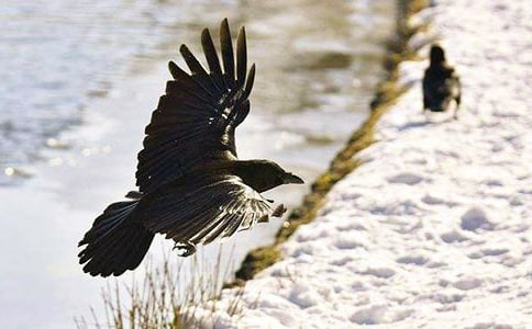 ����ѻ��ˮ�������15ƪ