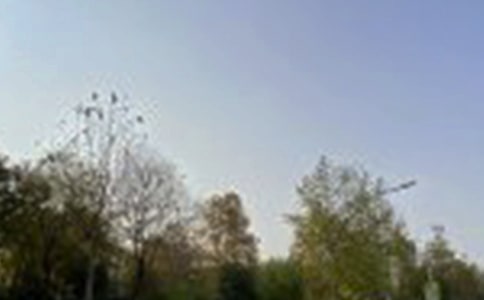 2024����ܰ���簲΢���ʺ�����75��