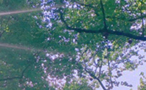 ��ܰ���簲΢���ʺ���41��