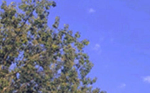 ��ܰ���簲΢���ʺ���ϼ�54��