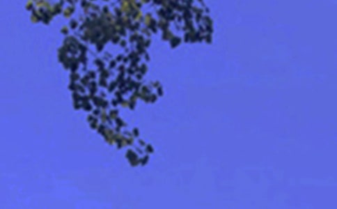 2024�����õ��簲QQ�ʺ�����37��