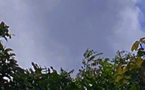 Ψ�����簲΢���ʺ���ϼ�56��