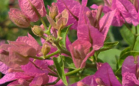 ���õ��簲QQ�ʺ�������78��