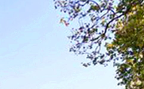 �簲΢���ʺ���ժ¼37��