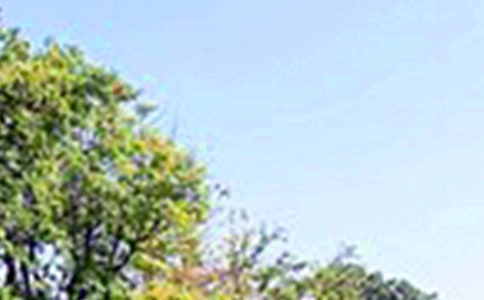 Ψ�����簲�ʺ���43��