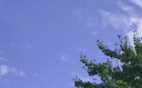 �������簲�ʺ����ϼ�53��