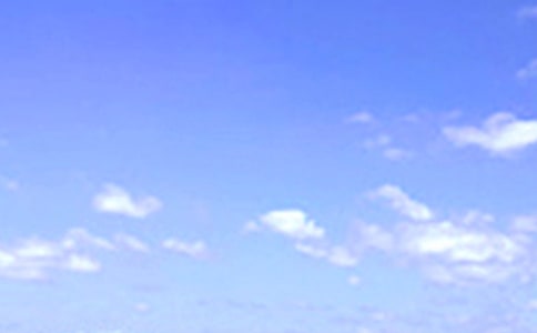 2024����ů���簲�ʺ������ժ¼83��