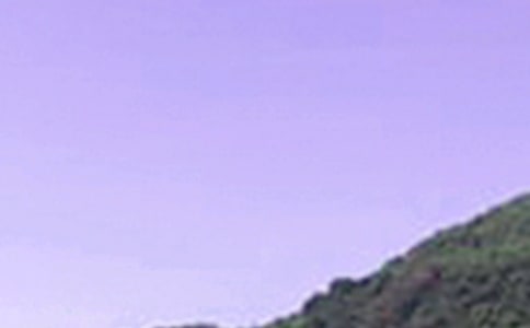 2024����ܰ���簲�ʺ������52��