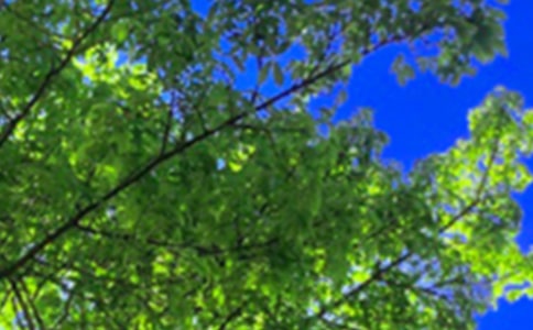 �簲΢���ʺ���27��