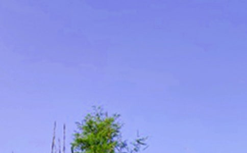 ��ܰ���簲�ʺ���38��